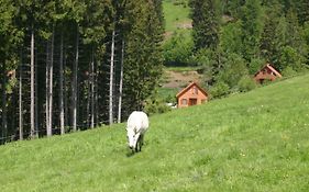 Sternen-Chalet